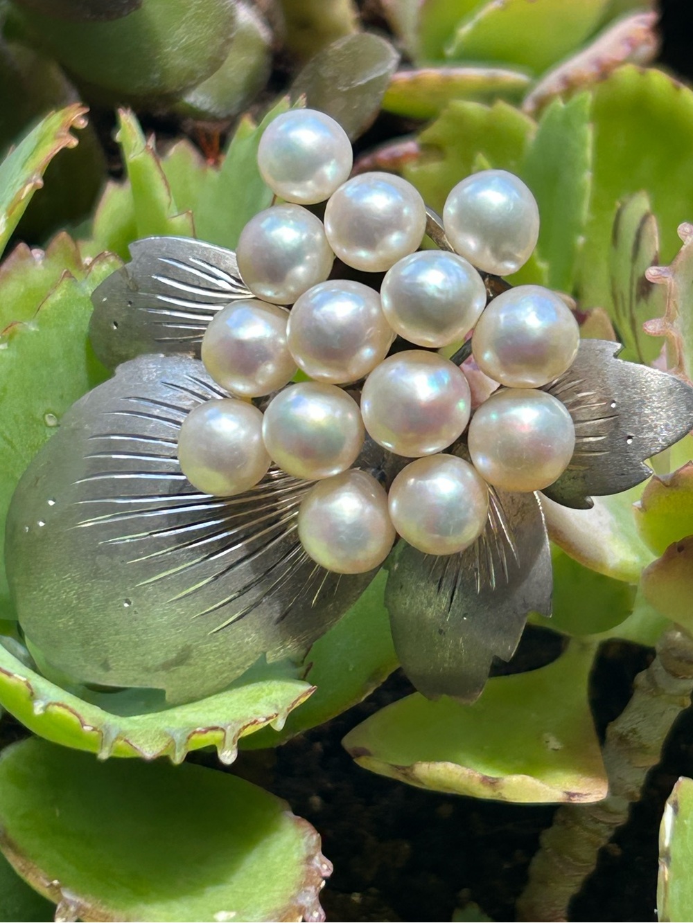 Vintage MCM large 3D sterling Silver cluster 7.5-8.00mm Akoya Pearl flower pin